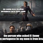 for some reason these are some of the only words i can remember | me saying every brazilian portuguese curse word i know; the person who asked if i know any portuguese bc my mom is from brazil | image tagged in anakin in clone wars | made w/ Imgflip meme maker
