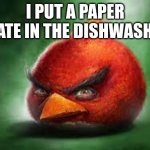 Realistic Red Angry Birds | I PUT A PAPER PLATE IN THE DISHWASHER | image tagged in realistic red angry birds | made w/ Imgflip meme maker