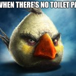 Realistic Angry Bird (Mathilda) | ME WHEN THERE'S NO TOILET PAPER | image tagged in realistic angry bird mathilda | made w/ Imgflip meme maker