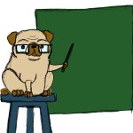 Professor pug