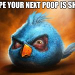 angry birds blue | I HOPE YOUR NEXT POOP IS SHARP | image tagged in angry birds blue | made w/ Imgflip meme maker