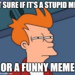 Futurama Fry | NOT SURE IF IT'S A STUPID MEME; OR A FUNNY MEME | image tagged in memes,futurama fry | made w/ Imgflip meme maker