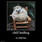 super chill frfr | chill hedhog | so chill bro | image tagged in funny,demotivationals,hedhog,chill | made w/ Imgflip demotivational maker