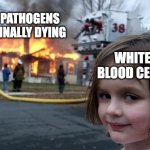 White blood cells kill pathogens | PATHOGENS FINALLY DYING; WHITE BLOOD CELLS | image tagged in disaster girl,the human body,germs,bacteria,virus,funny memes | made w/ Imgflip meme maker