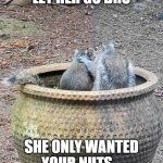 Let her go squirrel. | LET HER GO BRO; SHE ONLY WANTED YOUR NUTS... | image tagged in counseling | made w/ Imgflip meme maker