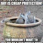 Squirrel Mafia | JUST A FEW NUTS A DAY IS CHEAP PROTECTION! YOU WOULDN'T WANT TO GET HIT BY A CAR WOULD YOU? | image tagged in counseling | made w/ Imgflip meme maker