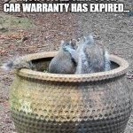 Squirrel Spam | HI, I NOTICED THAT YOUR CAR WARRANTY HAS EXPIRED... | image tagged in counseling | made w/ Imgflip meme maker