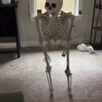1 GIF Template