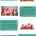 Canned Tomato Paste Manufacturer China