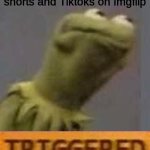Angery | Me seeing Youtube shorts and Tiktoks on Imgflip | image tagged in kermit triggered | made w/ Imgflip meme maker