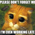 Don't Forget Me | PLEASE DON'T FORGET ME; I'M EVEN WORKING LATE | image tagged in cat hat don't forget me,working late,don't forget me,sad kitty eyes | made w/ Imgflip meme maker
