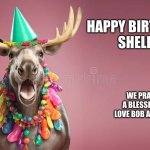 Moose Birthday | HAPPY BIRTHDAY 
SHELLY; WE PRAY IT IS A BLESSED ONE.   LOVE BOB AND JACKIE | image tagged in moose birthday | made w/ Imgflip meme maker