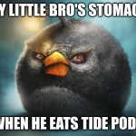 pods | MY LITTLE BRO'S STOMACH; WHEN HE EATS TIDE PODS | image tagged in angry birds bomb,tide pods | made w/ Imgflip meme maker