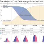 Demographic Transition Model