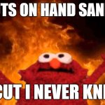 Relatable? | ME PUTS ON HAND SANITIZER; A CUT I NEVER KNEW | image tagged in elmo fire | made w/ Imgflip meme maker