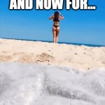 Beaches are for the Birds | AND NOW FOR... BIRDS | image tagged in gifs,memes,funny,seagull,sexy girl | made w/ Imgflip video-to-gif maker