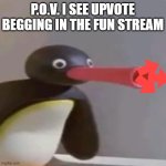 Yea... | P.O.V. I SEE UPVOTE BEGGING IN THE FUN STREAM | image tagged in noot noot | made w/ Imgflip meme maker