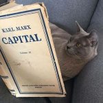 cat reading carl marx's capital