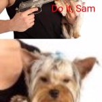 Do It Sam, Pull the Trigger