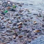 great atlantic garbage patch Meme Generator - Imgflip