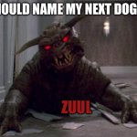 Zuulie | I SHOULD NAME MY NEXT DOGGIE; ZUUL | image tagged in zuulie | made w/ Imgflip meme maker