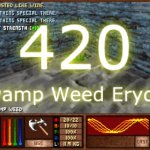 Amulets and Armor 420