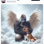Doge in heaven Elon tweet