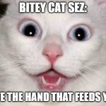crazy cat | BITEY CAT SEZ:; BITE THE HAND THAT FEEDS YOU | image tagged in crazy cat | made w/ Imgflip meme maker