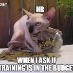 Just like Smog | HR; WHEN I ASK IF TRAINING IS IN THE BUDGET | image tagged in hairless cat hoarding precious coins,manufacturing,engineer,engineering | made w/ Imgflip meme maker