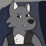 Wolfie Confused Face Meme