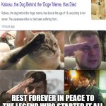 Rest in Peace, Doge. We'll miss you... | REST FOREVER IN PEACE TO THE LEGEND WHO STARTED IT ALL | image tagged in ozon's salute,doge,crying salute,salute,rest in peace | made w/ Imgflip meme maker