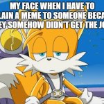 Can anyone relate? | MY FACE WHEN I HAVE TO EXPLAIN A MEME TO SOMEONE BECAUSE THEY SOMEHOW DIDN'T GET THE JOKE | image tagged in sad tails,explain,joke | made w/ Imgflip meme maker