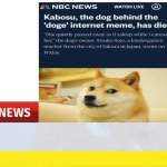 RIP doge | image tagged in breaking news template,emergency,doge,sad,noooooooooooooooooooooooo,nooooooooo | made w/ Imgflip meme maker