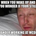 woken up | WHEN YOU WAKE UP AND YOU WONDER IF YOUR STILL; A SALAMANDER WORKING AT MCDONALDS | image tagged in woken up | made w/ Imgflip meme maker