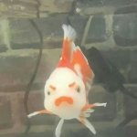 Anger fish