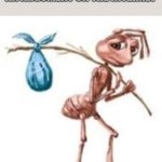 Sad ant with bindle | HOW IT FEELS TO LOSE AN ARGUMENT ON THE INTERNET | image tagged in sad ant with bindle | made w/ Imgflip meme maker