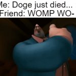 u dare question? he question. so much slappin. RIP Kabosu.... | Me: Doge just died... :(; Friend: WOMP WO- | image tagged in gifs,sad,doge,dogs,dog,why | made w/ Imgflip video-to-gif maker