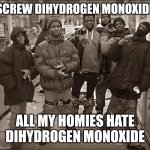 All My Homies Hate | SCREW DIHYDROGEN MONOXIDE; ALL MY HOMIES HATE DIHYDROGEN MONOXIDE | image tagged in all my homies hate | made w/ Imgflip meme maker