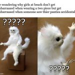 Persian Cat Room Guardian | Me wondering why girls at beach don't get embarrassed when wearing a two piece but get embarrassed when someone saw thier panties accidentally; ????? ????? | image tagged in memes,persian cat room guardian | made w/ Imgflip meme maker