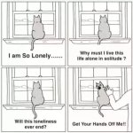 Lonely Cat