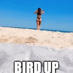 bird up | BIRD UP | image tagged in gifs,bitd | made w/ Imgflip video-to-gif maker