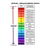 pH scale meme