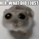 Sad Hamster | TEACHER: WHAT DID I JUST SAY? BRO (HE'S COOKED): | image tagged in sad hamster | made w/ Imgflip meme maker
