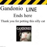 Gandonio line 1