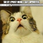 Scared Cat | SO IF I POST HERE I GET UPVOTES AND COMMENTS????????????????????????? | image tagged in memes,scared cat | made w/ Imgflip meme maker