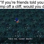 TAKE ME SWEET DEATH! | “If you’re friends told you to jump off a cliff, would you do i-” | image tagged in sonic take me sweet death,friends,funny,memes | made w/ Imgflip meme maker