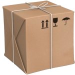 Lost Package