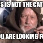 These Aren't The Droids You Were Looking For | THIS IS NOT THE CATNIP; YOU ARE LOOKING FOR | image tagged in memes,these aren't the droids you were looking for | made w/ Imgflip meme maker