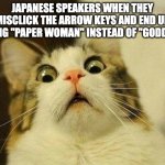 For those who don't get it: the kanji for 'Paper' and 'God' are both spelt the same when typin' | JAPANESE SPEAKERS WHEN THEY MISCLICK THE ARROW KEYS AND END UP TYPING "PAPER WOMAN" INSTEAD OF "GODDESS" | image tagged in memes,scared cat,paper woman,goddess,japanese,funny | made w/ Imgflip meme maker