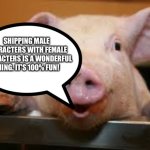 The Pig of wisdom loves Shipping Male characters with Female characters | SHIPPING MALE CHARACTERS WITH FEMALE CHARACTERS IS A WONDERFUL THING. IT'S 100% FUN! | image tagged in happy pig | made w/ Imgflip meme maker